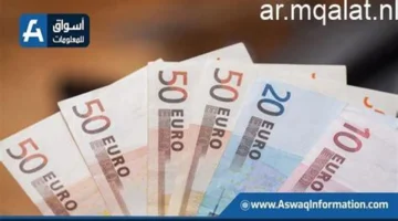 استقرار سعر اليورو في ختام تعاملات البنوك المصرية لهذا اليوم الخميس 5 مارس